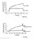 Fig. 04 - Pharmaceutical composition comprising proteins and/or polypeptides and colloidal particles
