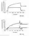 Fig. 05 - Pharmaceutical composition comprising proteins and/or polypeptides and colloidal particles
