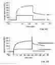 Fig. 06 - Pharmaceutical composition comprising proteins and/or polypeptides and colloidal particles