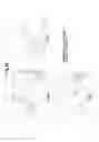 Fig. 05 - Use of factor XIII for stimulating the perfusion of ischemic tissue