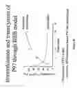 Fig. 22 - Compositions for modulating blood-brain barrier transport