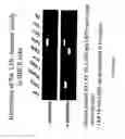 Fig. 45 - Compositions for modulating blood-brain barrier transport