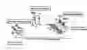 Fig. 01 - Peptide with putative role in cytoskeletal protection