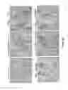 Fig. 17 - Peptide with putative role in cytoskeletal protection