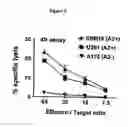 Fig. 10 - Peptide analogs capable of enhancing stimulation of a glioma-specific CTL response