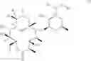 Fig. 02 - Macrolides with antiinflammatory activity