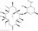 Fig. 08 - Macrolides with antiinflammatory activity
