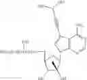 Fig. 34 - NUCLEOSIDE COMPOUNDS FOR TREATING VIRAL INFECTIONS