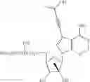 Fig. 40 - NUCLEOSIDE COMPOUNDS FOR TREATING VIRAL INFECTIONS