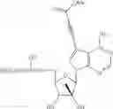 Fig. 46 - NUCLEOSIDE COMPOUNDS FOR TREATING VIRAL INFECTIONS