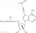 Fig. 47 - NUCLEOSIDE COMPOUNDS FOR TREATING VIRAL INFECTIONS