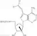 Fig. 63 - NUCLEOSIDE COMPOUNDS FOR TREATING VIRAL INFECTIONS