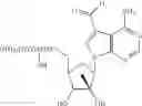 Fig. 71 - NUCLEOSIDE COMPOUNDS FOR TREATING VIRAL INFECTIONS