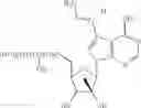 Fig. 76 - NUCLEOSIDE COMPOUNDS FOR TREATING VIRAL INFECTIONS