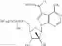 Fig. 79 - NUCLEOSIDE COMPOUNDS FOR TREATING VIRAL INFECTIONS