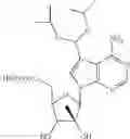 Fig. 82 - NUCLEOSIDE COMPOUNDS FOR TREATING VIRAL INFECTIONS