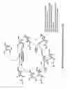 Fig. 17 - Modified polynucleotides for use in rna interference