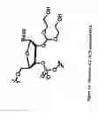Fig. 18 - Modified polynucleotides for use in rna interference