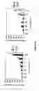 Fig. 46 - Modified polynucleotides for use in rna interference