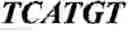 Fig. 804 - Nucleotide sequences promoting the trans-membrane transport of nucleic acids