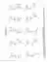 Fig. 23 - RNA interference mediated inhibition of gene expression using chemically modified short interfering nucleic acid (siNA)