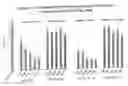 Fig. 27 - RNA interference mediated inhibition of gene expression using chemically modified short interfering nucleic acid (siNA)