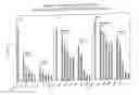 Fig. 32 - RNA interference mediated inhibition of gene expression using chemically modified short interfering nucleic acid (siNA)