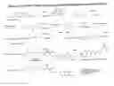 Fig. 43 - RNA interference mediated inhibition of gene expression using chemically modified short interfering nucleic acid (siNA)