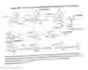 Fig. 47 - RNA interference mediated inhibition of gene expression using chemically modified short interfering nucleic acid (siNA)