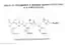 Fig. 49 - RNA interference mediated inhibition of gene expression using chemically modified short interfering nucleic acid (siNA)