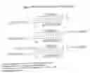 Fig. 60 - RNA interference mediated inhibition of gene expression using chemically modified short interfering nucleic acid (siNA)