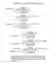 Fig. 62 - RNA interference mediated inhibition of gene expression using chemically modified short interfering nucleic acid (siNA)