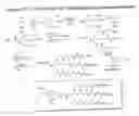 Fig. 71 - RNA interference mediated inhibition of gene expression using chemically modified short interfering nucleic acid (siNA)