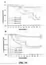 Fig. 15 - METHODS AND COMPOSITIONS FOR DIAGNOSING AND SUPPRESSING METASTASIS THEREOF