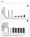 Fig. 03 - Chitosan oligosaccharides and uses thereof