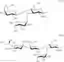 Fig. 121 - Cyclodextrin derivatives, method for the preparation thereof and use thereof for the solubilization of pharmacologically active substances