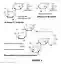 Fig. 04 - Galectins -1 and -4 in tumor development