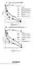 Fig. 11 - Galectins -1 and -4 in tumor development
