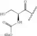 Fig. 121 - Compounds and methods for treating toll-like receptor 2-related diseases and conditions