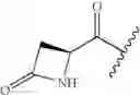 Fig. 146 - Compounds and methods for treating toll-like receptor 2-related diseases and conditions