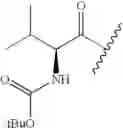 Fig. 26 - Compounds and methods for treating toll-like receptor 2-related diseases and conditions