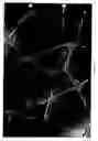 Fig. 10 - HALOCOMBSTATINS AND METHODS OF SYNTHESIS THEREOF