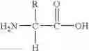 Fig. 18 - Thienopyrroles as antagonists of gnrh