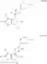 Fig. 62 - Thienopyrroles as antagonists of gnrh