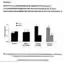 Fig. 03 - Method for the treatment of cognitive dysfunction