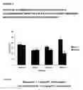 Fig. 06 - Method for the treatment of cognitive dysfunction