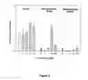 Fig. 03 - Neuroprotective compounds and pharmaceutical compositions comprising them