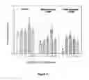 Fig. 04 - Neuroprotective compounds and pharmaceutical compositions comprising them