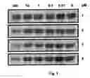 Fig. 02 - 