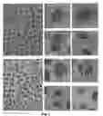 Fig. 03 - 